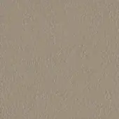 Warm gray granular texture resembling distressed leather, matte finish, with subtle integrated text “swan > leather (pn) > pn 1186”.
